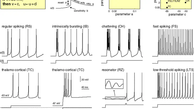 Spiking Neural Network