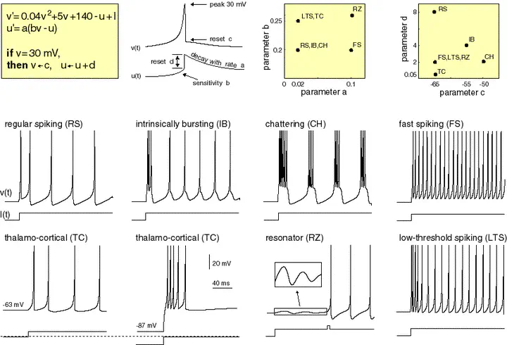 Spiking Neural Network