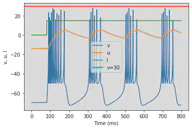 (C) Tonic Bursting adjusted parameters