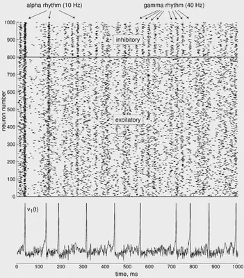 This simulation creates a network of 1000 neurons, 800 excitatory and 200 inhibitory