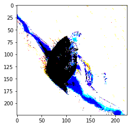 Example image preprocessed for VGG16