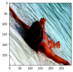 Example image preprocessed for VGG16