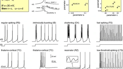 Spiking Neural Network featured image